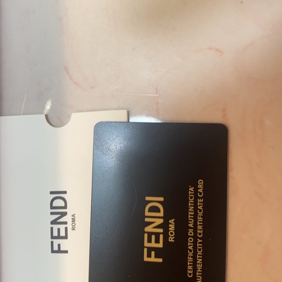 fendi sunglasses roma  oversized - Picture 6 of 7